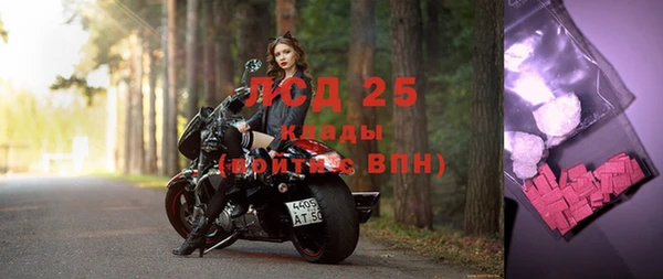 СК Алексин