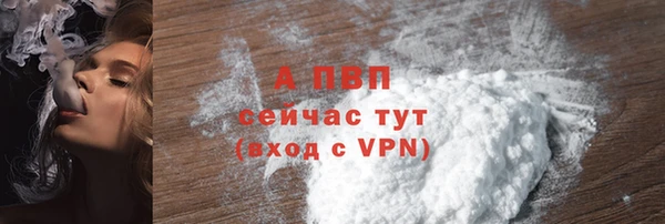 СК Алексин