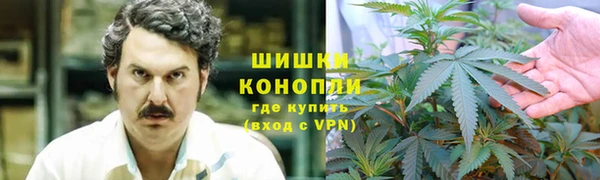 гидропоника Алзамай