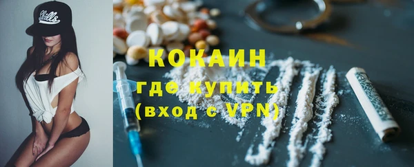 СК Алексин