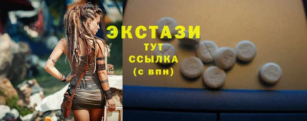 СК Алексин