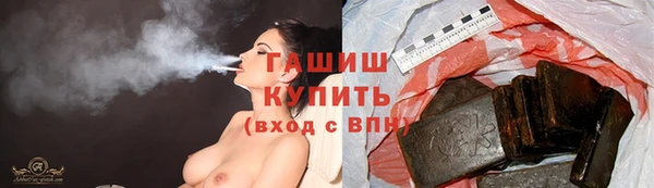 СК Алексин