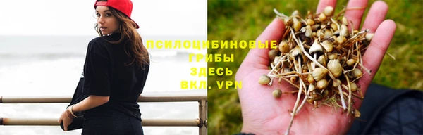не бодяженный Алексеевка