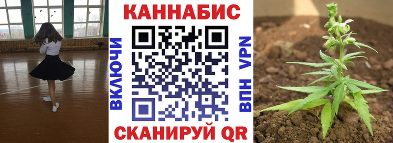 Бошки марихуана OG Kush  blacksprut ссылки  Кудрово 